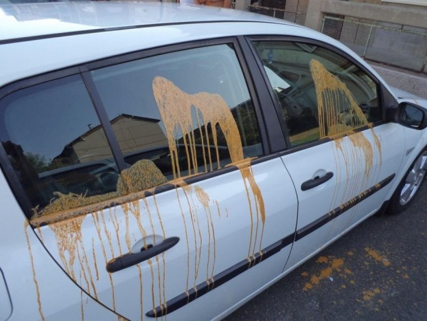 22 autót rongált meg a borsodi asszony 6