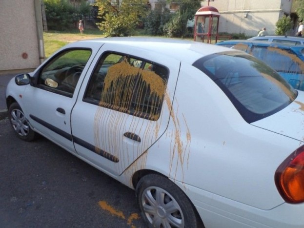 22 autót rongált meg a borsodi asszony 7