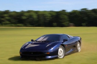 Ritka Jaguarral a mezőn csapatni