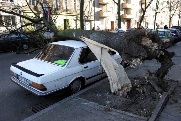 A természet nem viccel, büntet ha kell 10