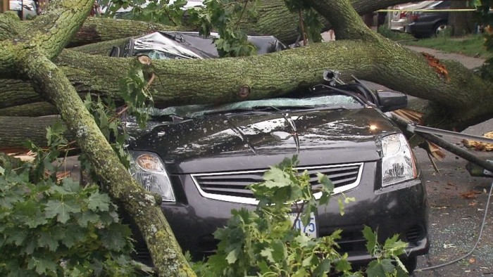 A természet nem viccel, büntet ha kell 11