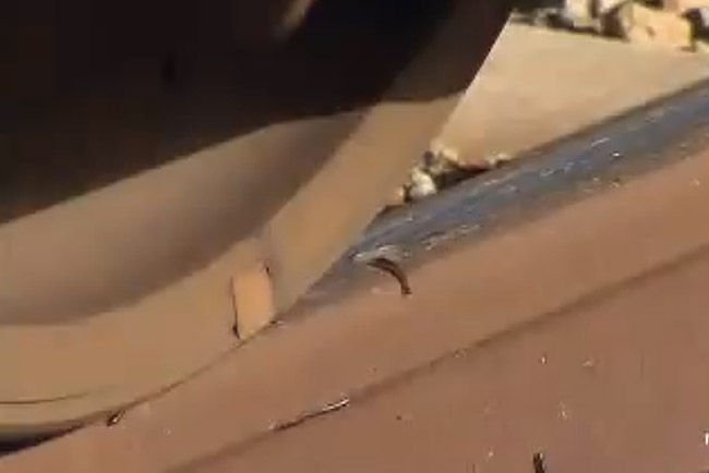 Százlábúak miatt ütközött a vonat