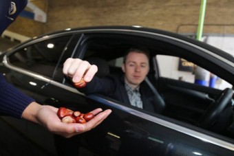 Gesztenyével fizetni a parkolásért?