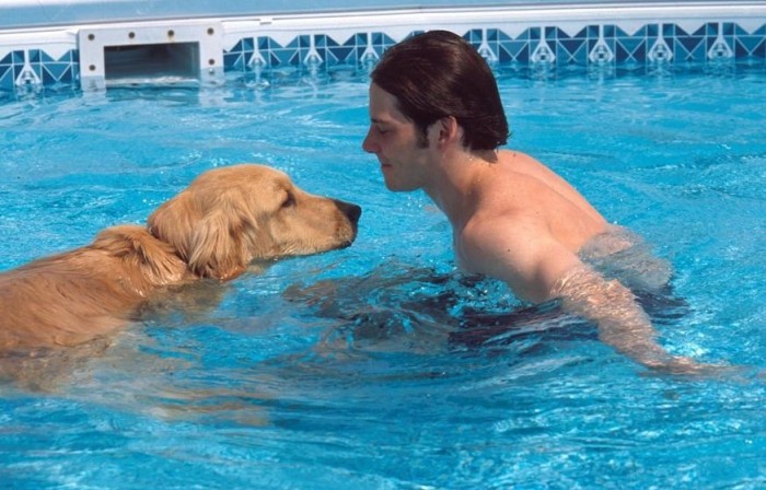 Hamilton kutyája igazi sztár! 7 | Vezess Gilles Villeneuve és kedvence egy hűsítő fürdő közben