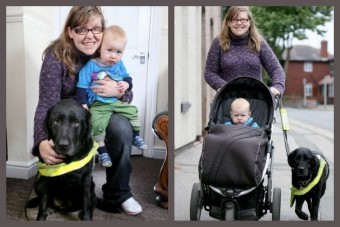 Vakvezető kutya mentette meg a gázolástól