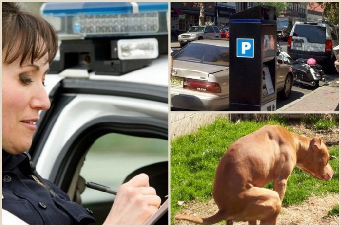 Kakival dobta meg a parkolóőrt