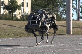 Reszkessetek egerek, itt a robotmacska