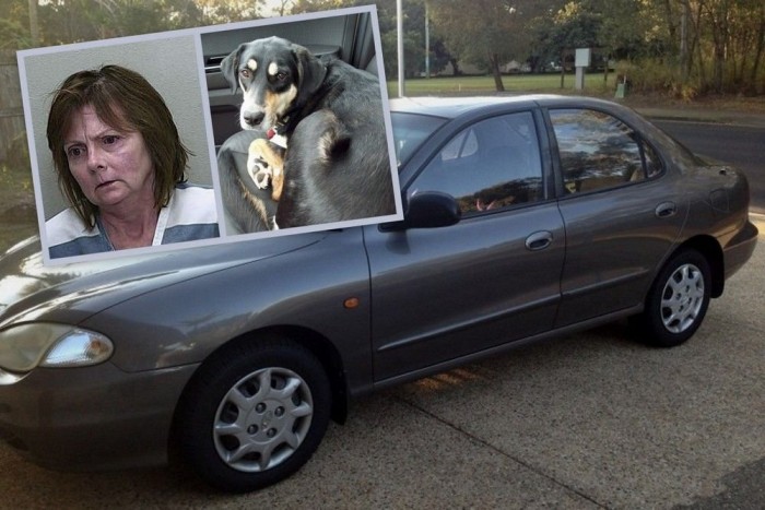 Kutyájával meztelenkedett az autó első ülésén