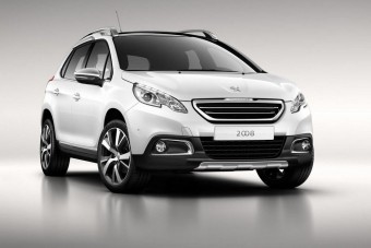 Fivére tollaival ékeskedik