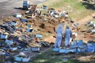 Méhészek a Georgia állambeli Forsyth közelében felborult kamion utasait mentik.
