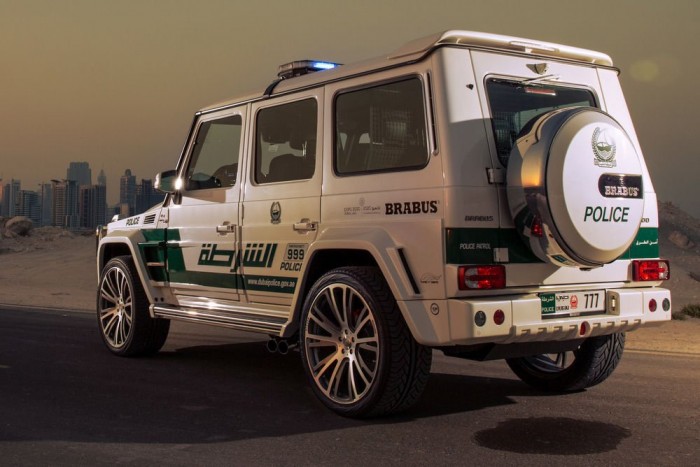 Sivatagi szörnyet fogott a dubaji rendőrség 6