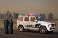 Sivatagi szörnyet fogott a dubaji rendőrség 23