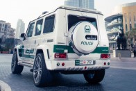 Sivatagi szörnyet fogott a dubaji rendőrség 24