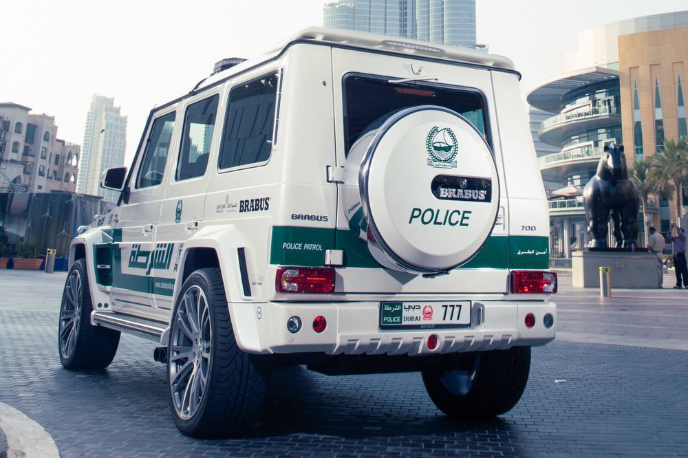Sivatagi szörnyet fogott a dubaji rendőrség 12