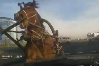 Elképesztő videók, amiket látnod kell