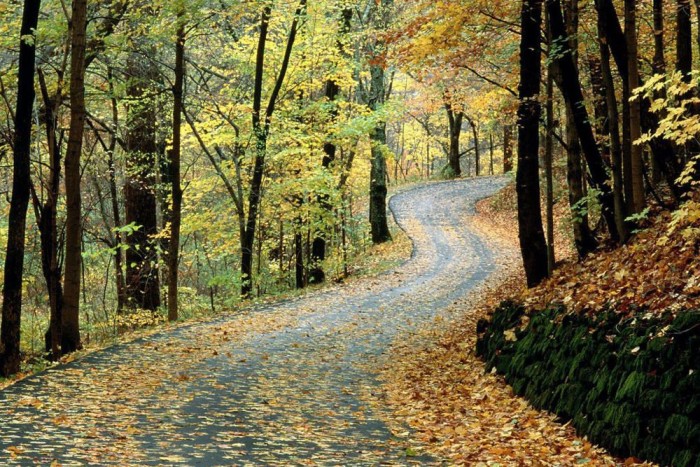 Centiken múlt a brutális baleset 5