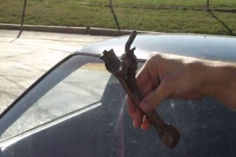 Ilyen, mikor a hajtókar megöli a bulit