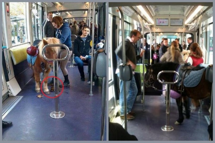 Meztelenül táncolt a metrósínek között 7 | Vezess Meztelenül táncolt a metrósínek között 7