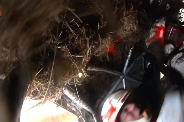 Trágyadombon landoltak a ralisok