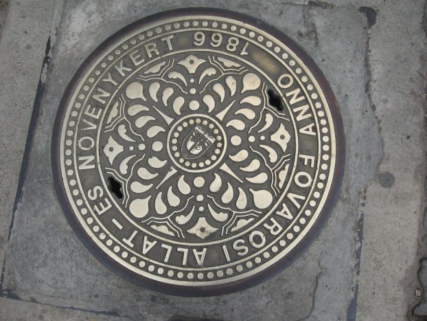 Csatornafedelek, művészi szintre emelve 7 | Vezess Fővárosi Állat- és Növénykert