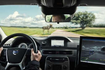 Egyszerre száz önjáró autó az utakon