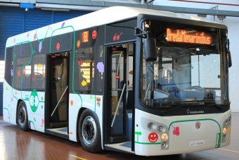 Stílusos törperős