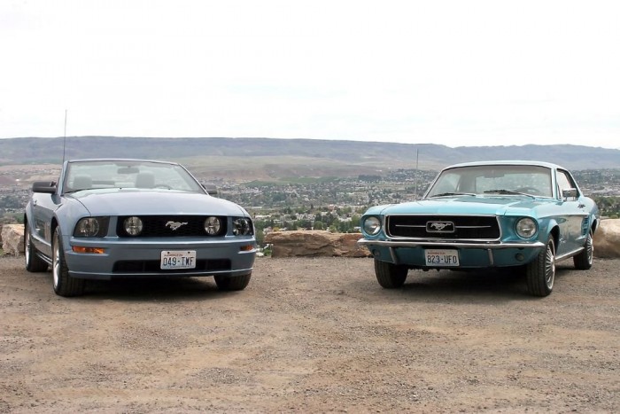 Egy vadló, ami mindenkit megbabonáz 6