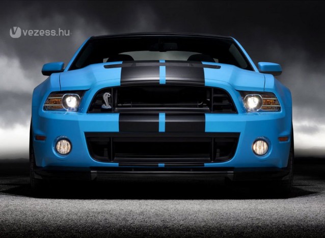 Egy vadló, ami mindenkit megbabonáz 12