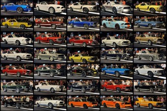 Egy vadló, ami mindenkit megbabonáz