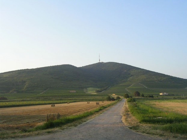Háttal száguld a bringás, hegyről lefelé 6 | Vezess Háttal száguld a bringás, hegyről lefelé 6