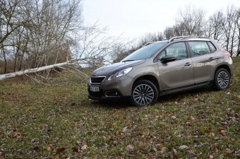 Lelkes, francia amatőr