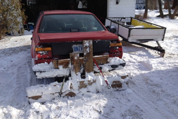 A nap képe: van, aki a jég hátán is megél 6