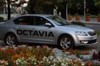 Hazánk legnépszerűbb autótípusa a Škoda Octavia. Flottában nagyon kapós