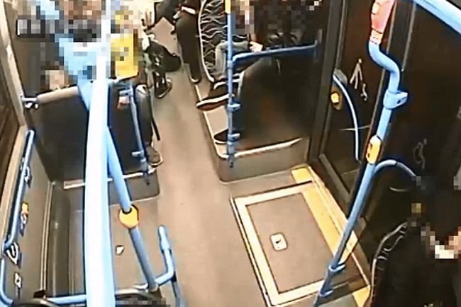 Rongálókat fogott a buszvezető – videó