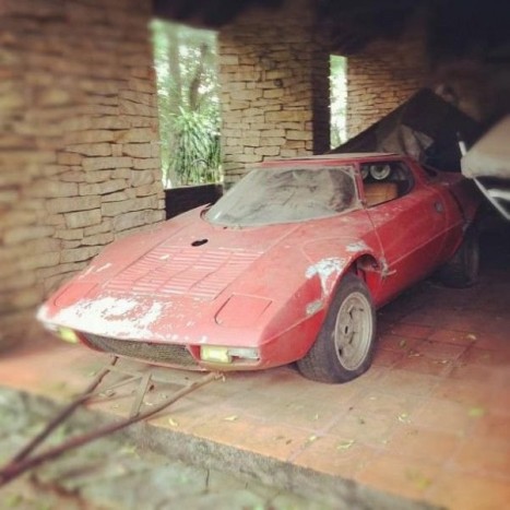 Álomautók rozsdásodnak a gazban 13