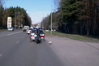 Megfejelte a rendőrautót a motoros