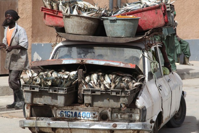 Tengeri szörnyek a szárazföldön 12