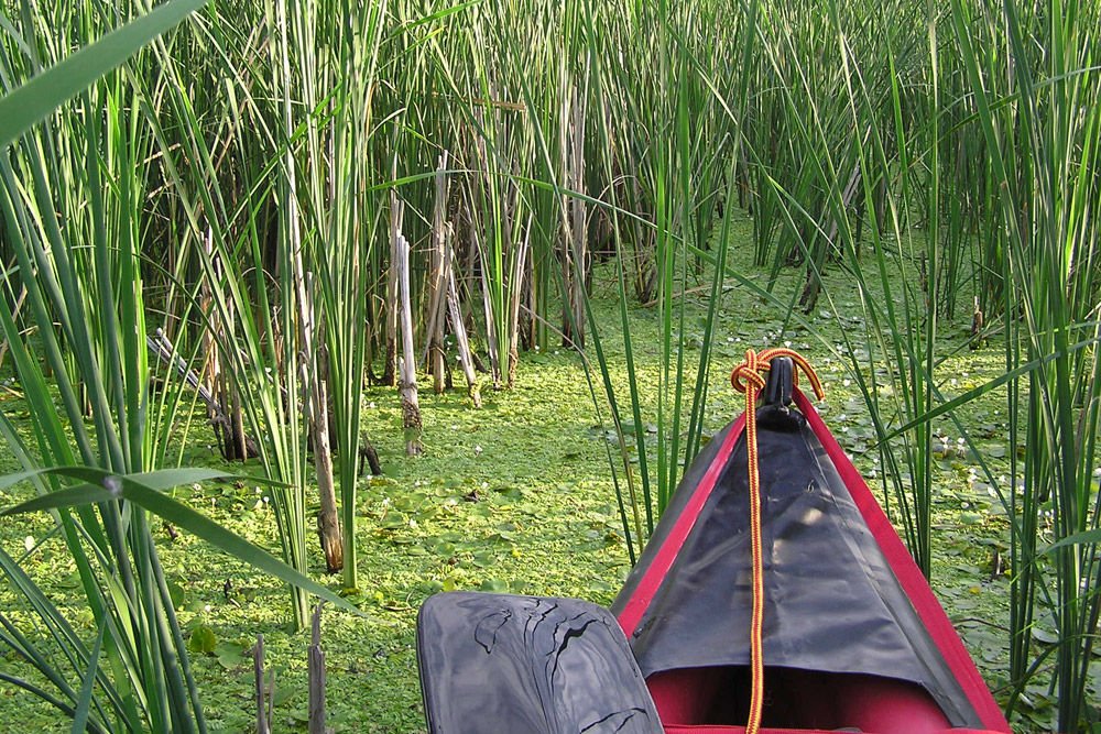 Magányosan, kajakkal, kenuval is érdemes szétnézni a szigetek között