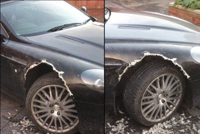 30 milliós autón állt bosszút a kutya 8 | Vezess 30 milliós autón állt bosszút a kutya 8