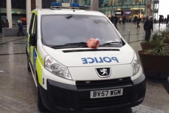 Levágott disznófejet dobtak a rendőrautóra