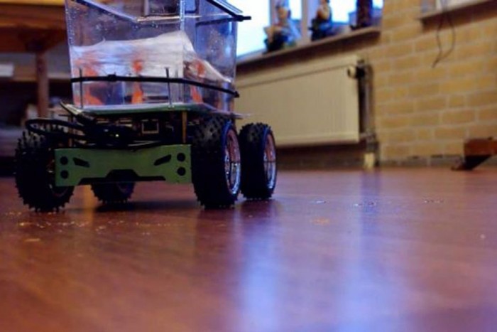 Így törnek világuralomra a halak? 5