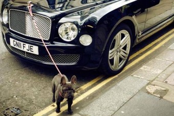 A nap képe: kutyasétáltatás 60 millióval