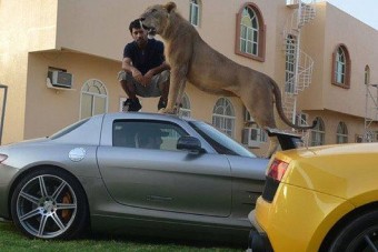 Pénzpusztítás a legmagasabb szinten