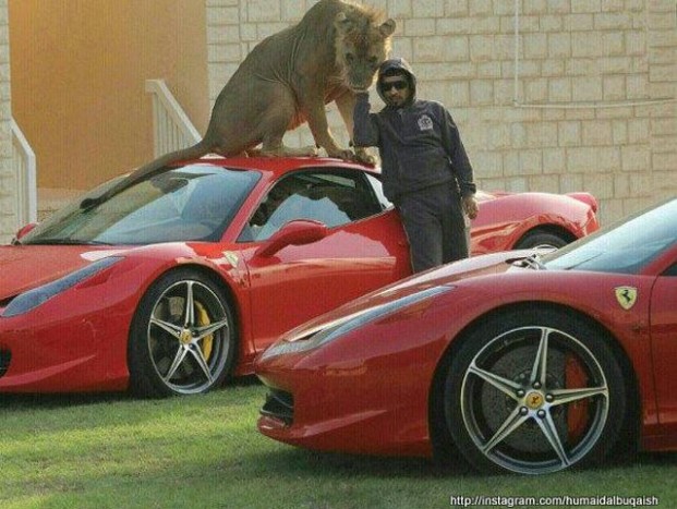 Pénzpusztítás a legmagasabb szinten 6