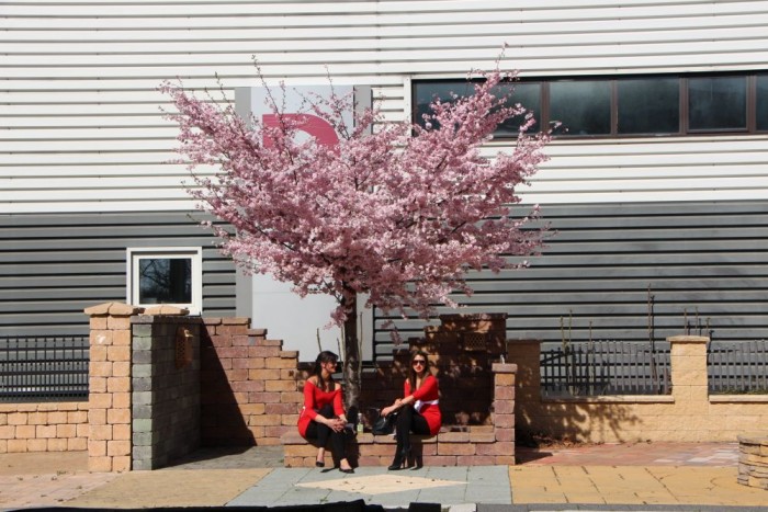 Csábító formák a tuningshow-ról 17 | Vezess Csábító formák a tuningshow-ról 17