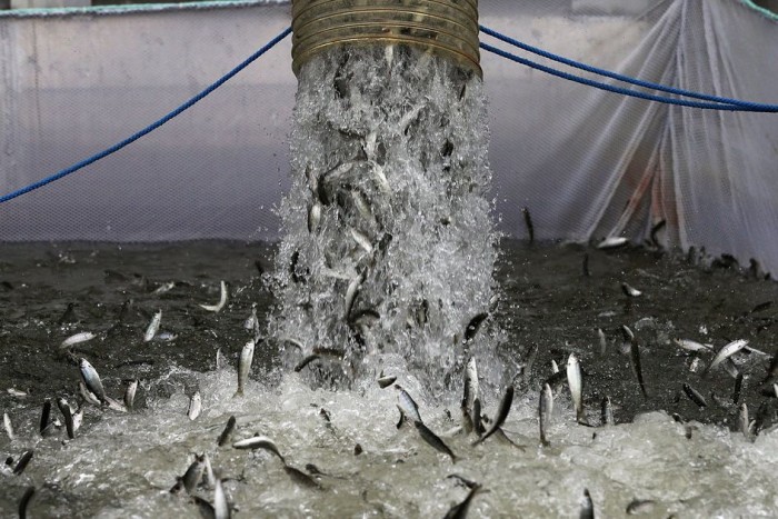 Ki nem találod, mit szállít ez a tartálykocsi! 5