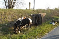 Egy megbokrosodó ló olyan lehet, mint egy első durrdefekt?