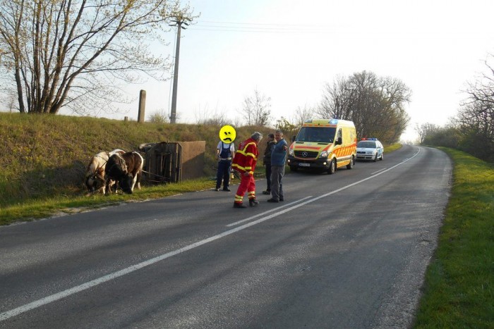 Nyílegyenes úton, felteszem, a sebesség sem volt túl nagy. Nem csak autót vezetni lehet veszélyes