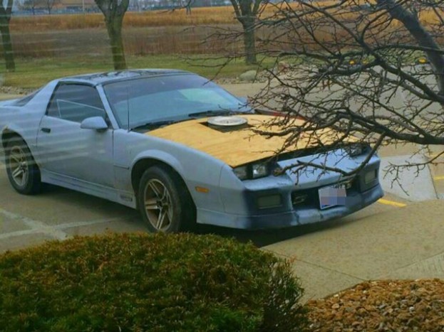 Sajnos ez nem vicc, szörnyek bizony léteznek 10