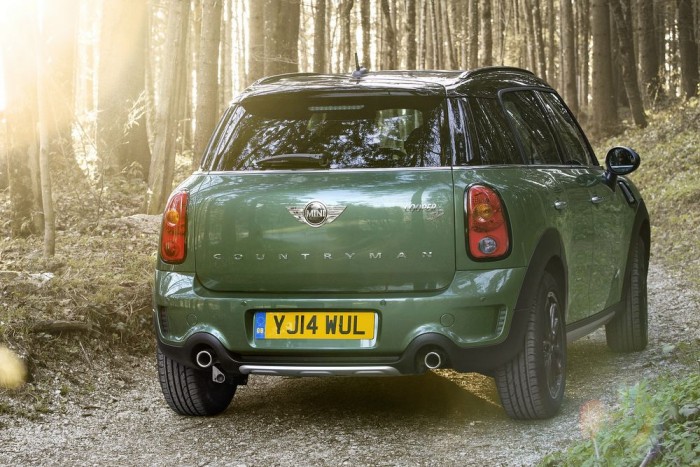 Átfaragták az erdőjárót 7